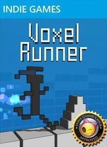 Voxel Runner