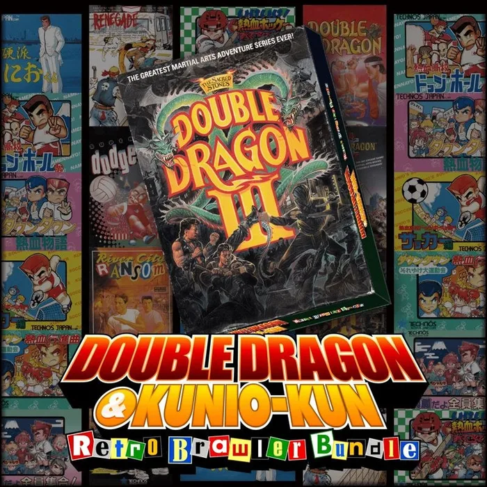 Double Dragon III The Sacred Stones