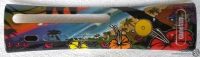 Microsoft Xbox 360 Pelican Sunset Gamestop Faceplate