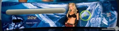 Microsoft Xbox 360 WWE - Ashley Faceplate