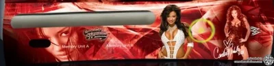Microsoft Xbox 360 WWE - Candice Michelle Faceplate