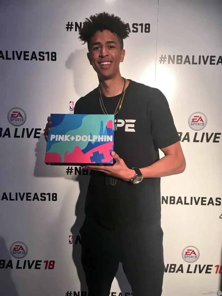 Microsoft Xbox One X Pink Dolphin