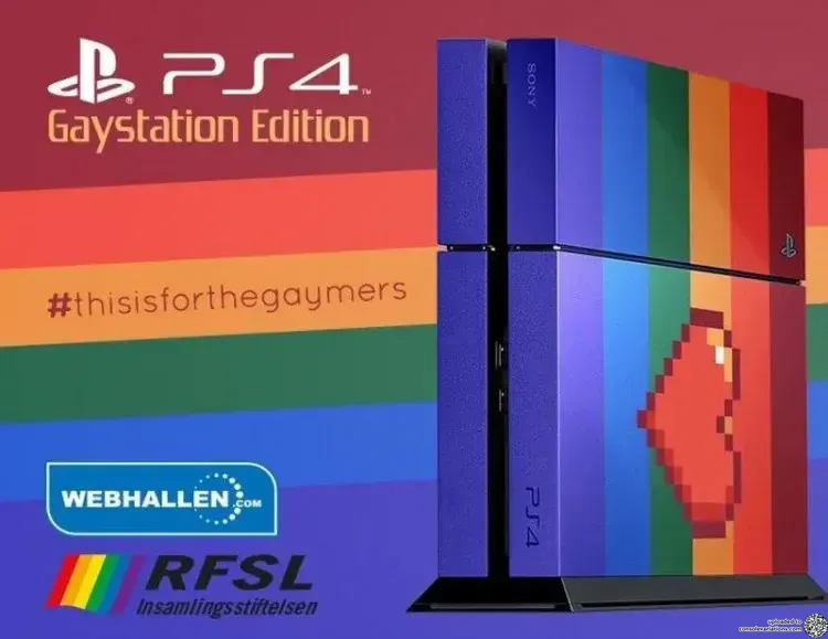Sony PlayStation 4 The Sony GayStation