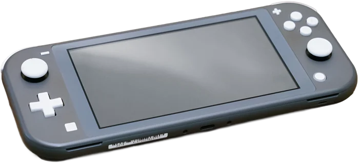 Nintendo Switch Lite Gray